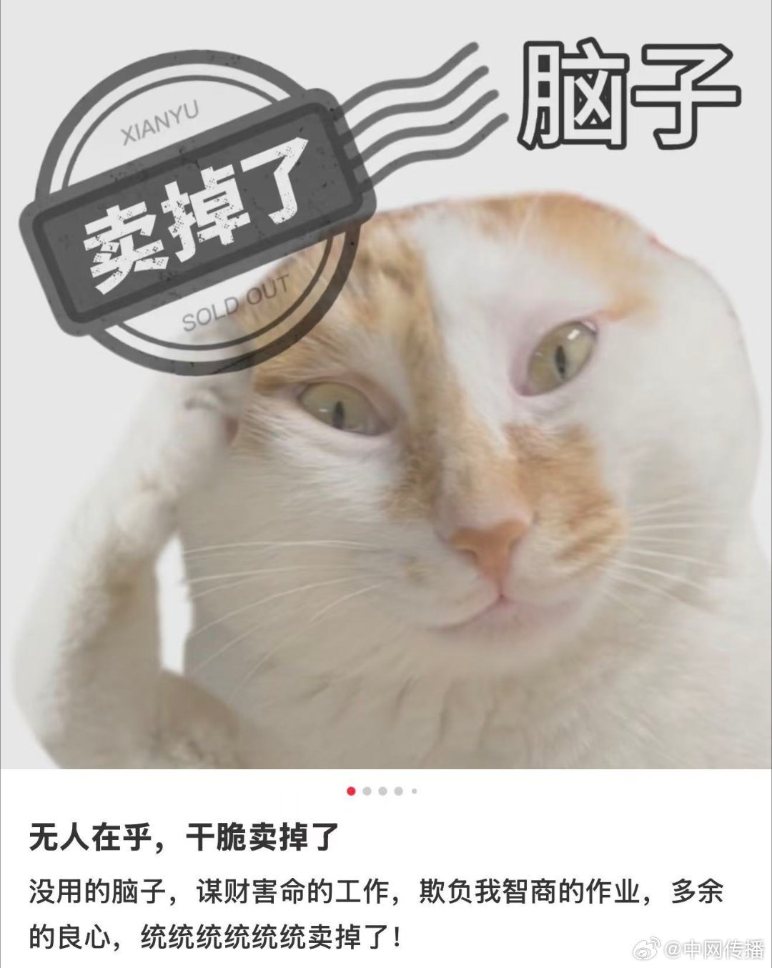 海鲜市场成就了多少00后而是以热爱为桨、以专业为帆，在潮起潮落间书写着属于自己的