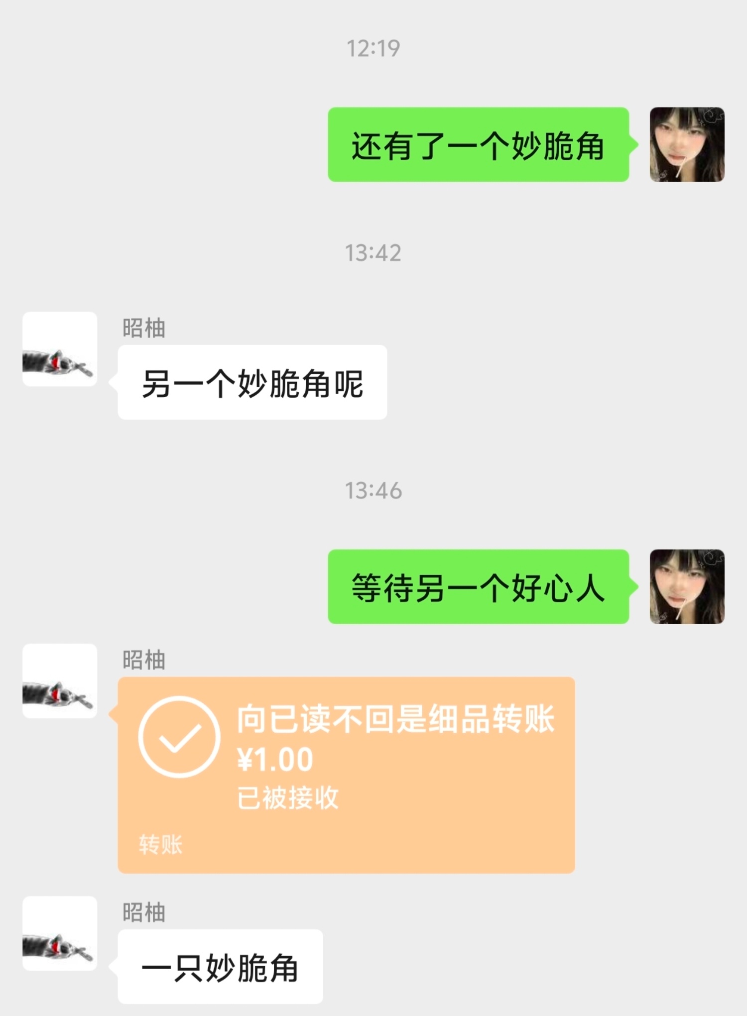 小猫骗钱 