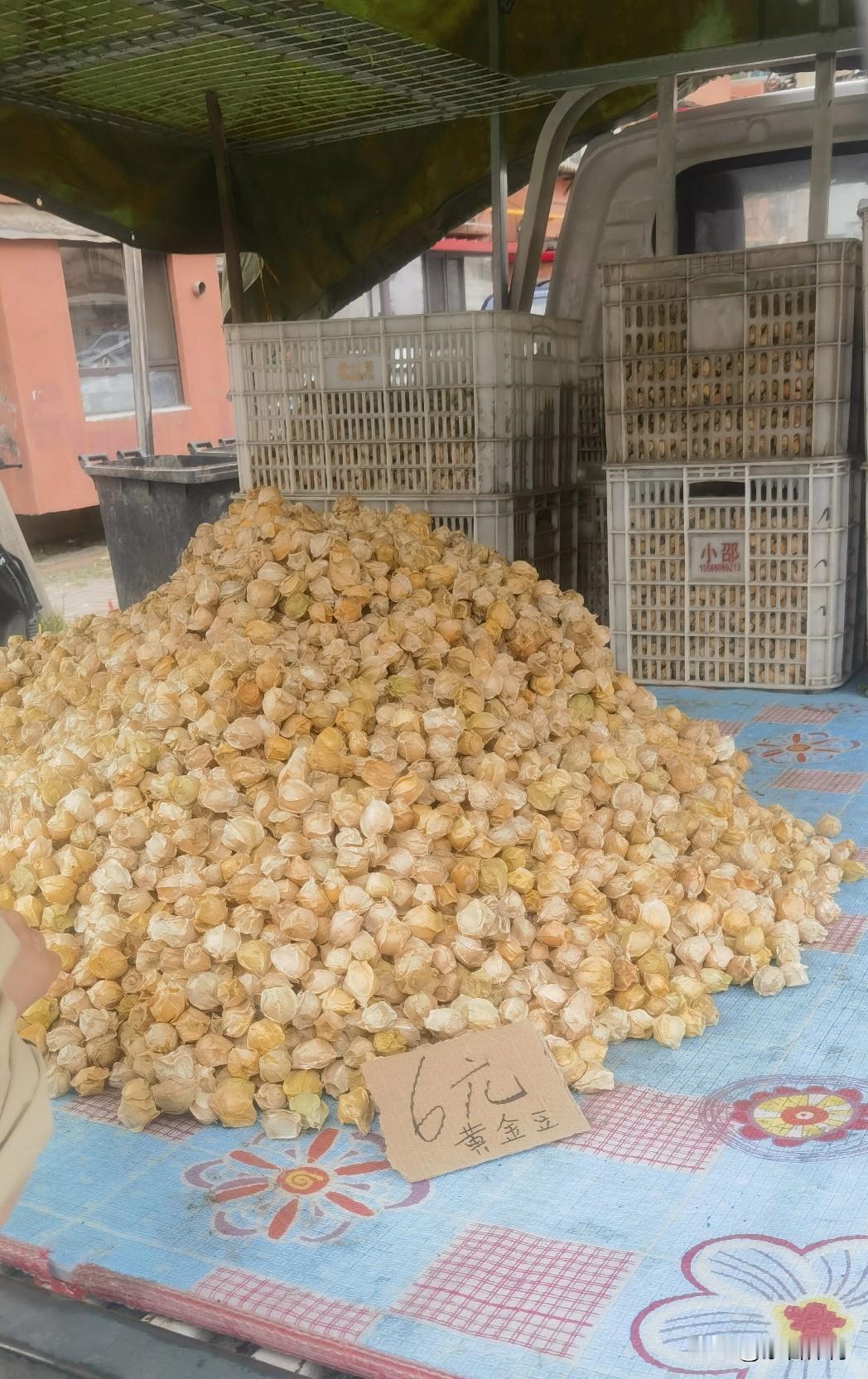 抚顺曾经的直辖市级别城市，如今已经沦为五线小城，这里的工资虽然不高，但人民幸福指