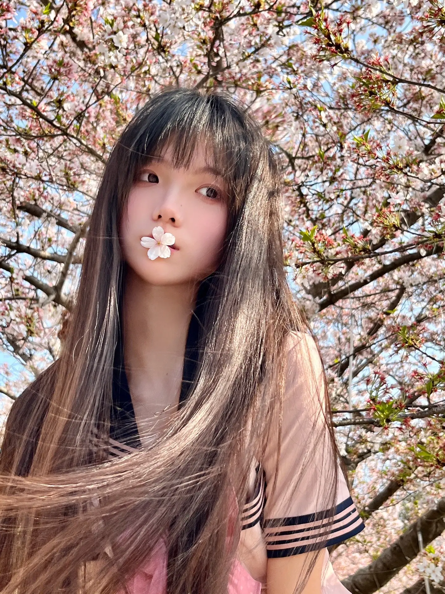 🌸想见你