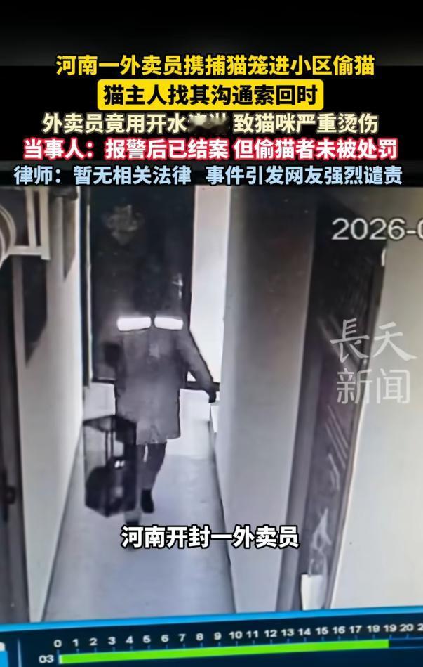 “太缺德了！”1月17日，河南开封，一外卖员带捕猫笼，偷走居民养的宠物猫，主人发