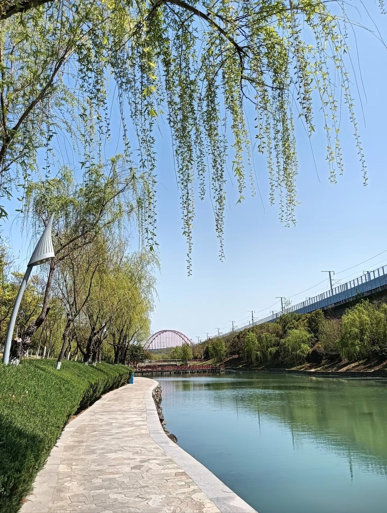 可我越来越觉得，后悔从来都不是认输，而是及时止损。
 
不必为了一句“不回头”，