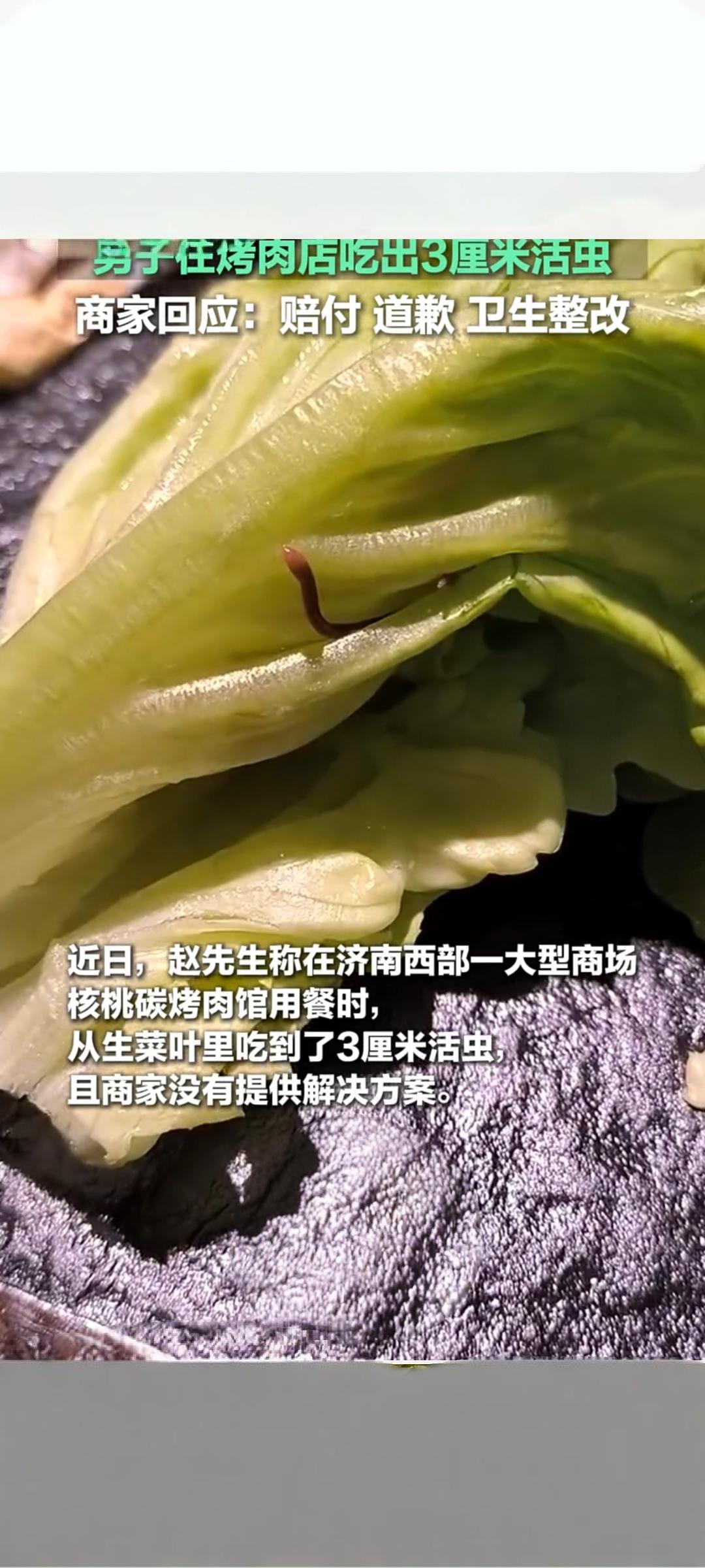 烤肉店生菜现3厘米活虫 商家致歉赔付并整改卫生
 
近日，有消费者反映在一家烤肉