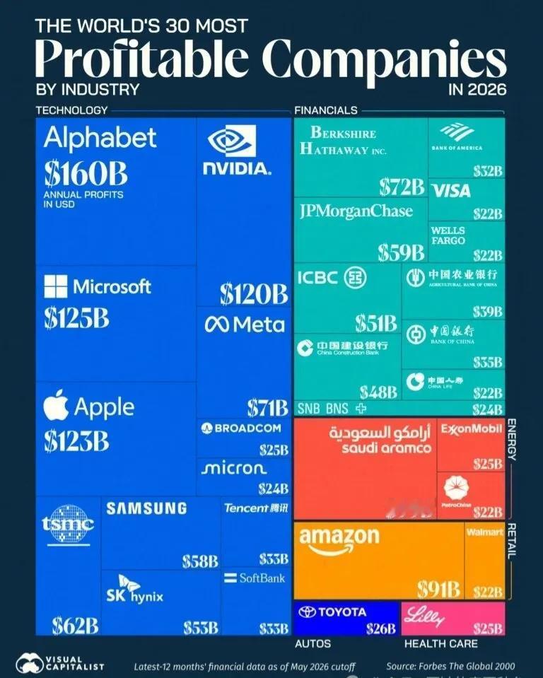 全球最赚钱的30家公司排行榜。

2026年全球最盈利公司TOP3：Alphab