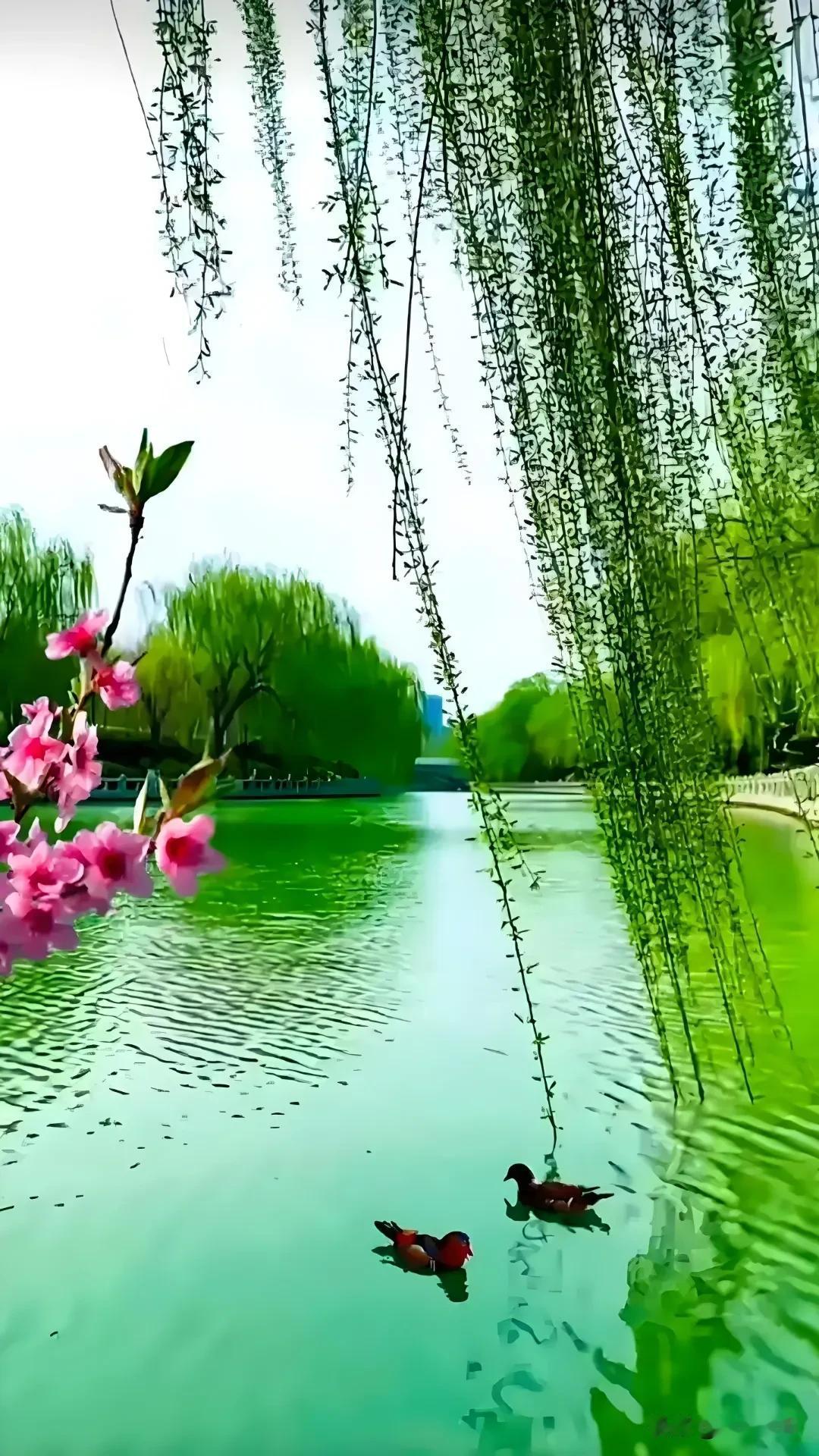 《虞美人·暮年相知》
 
残阳漫染云天暮，
浅韵花香度。
一樽清酒醉流年，
共历