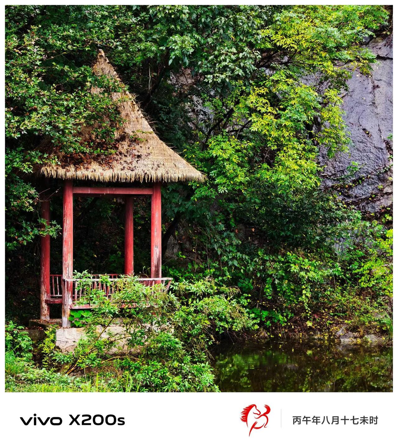 世外桃源，人间仙境，农夫山泉有点田！