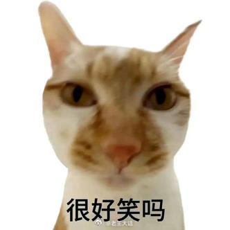 聊天必备表情包第729弹喵星人必备表情包​​​（拿图吱声） ​​​