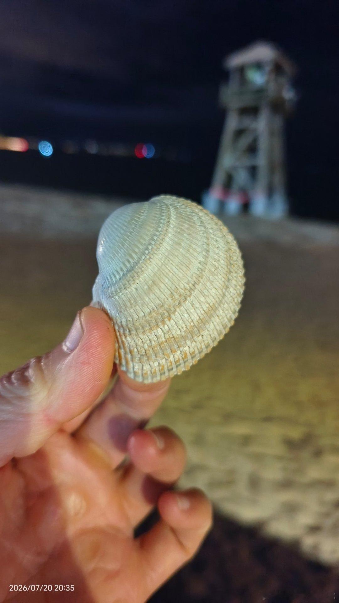 當最後一抹餘暉沉入海平線，星星便開始在浪尖上跳舞晚安，威海❤️ 荣成