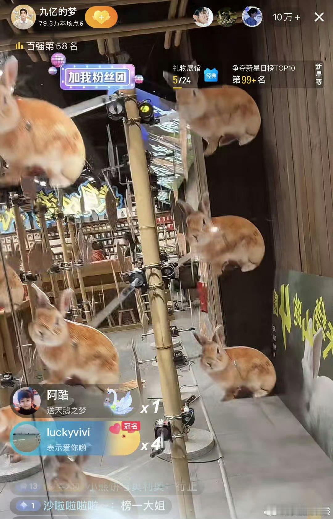 #林更新直播给赵丽颖看小兔子#林更新直播给赵丽颖看小兔子欸，赵姐还给林更新刷礼物