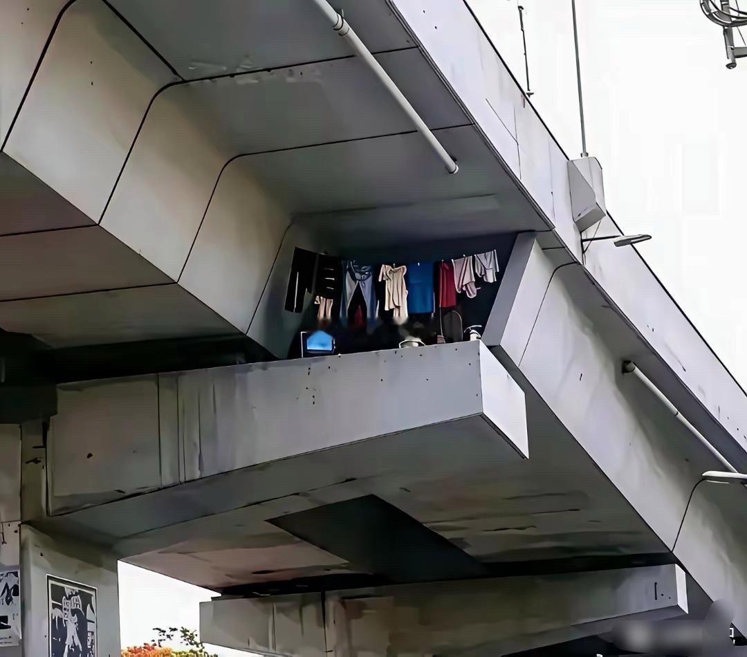 现在很多人都住桥洞，看样子这个面积应该有几百平方吧 