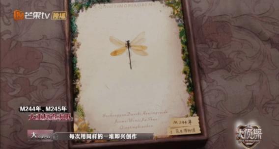 大张伟rap一响循环登场大侦探大张伟的rap一响，循环的爱即刻开场。每年同一天，