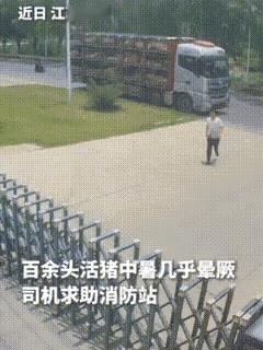 同志，“我的车上一百多头猪！全部中暑了！快不行了！”
一个司机冲进消防站，嗓子都