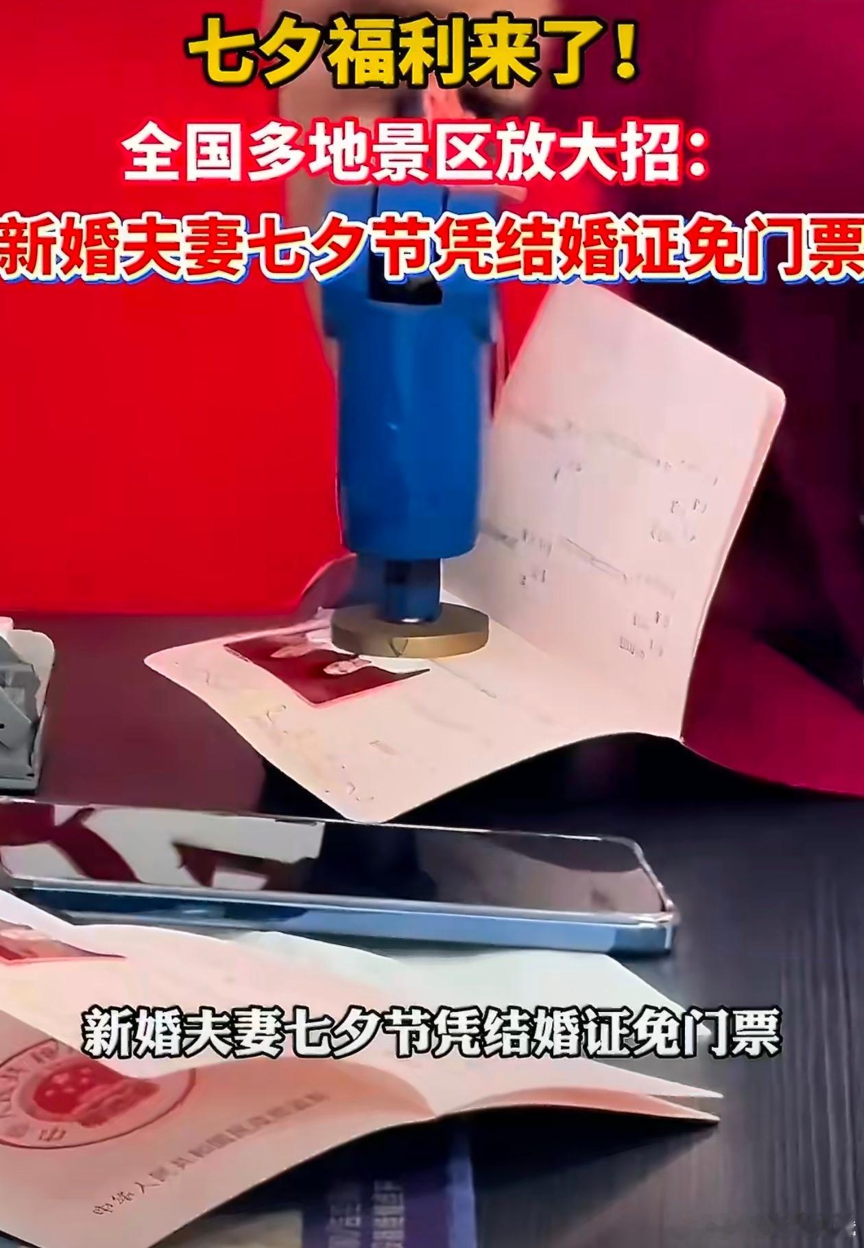 年轻人过七夕的含金量还在上升 睡前随便刷朋友圈，结果被同事跟对象在小区楼下喂流浪