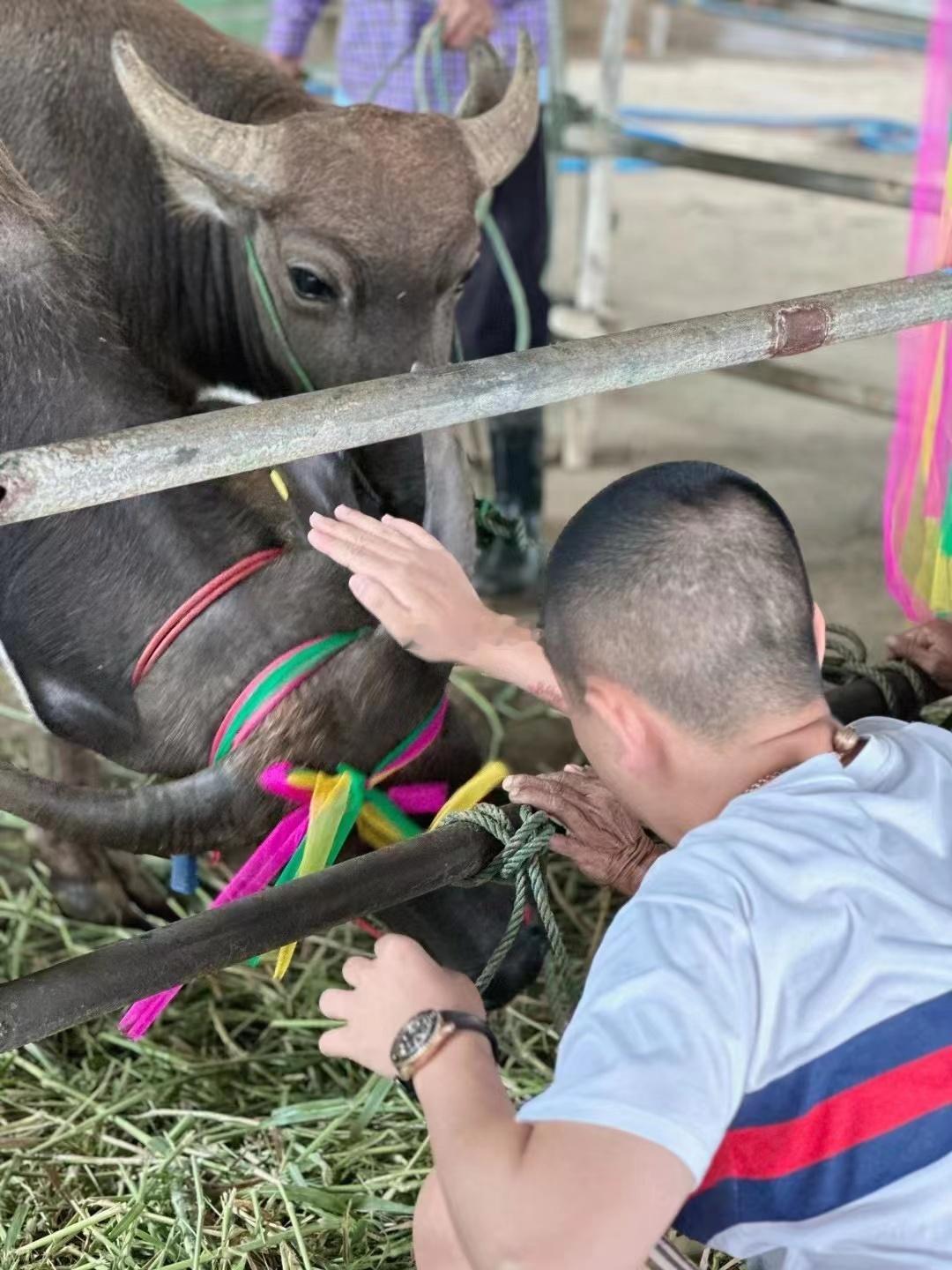 救了五条命网红主播都请泰牌 放生的意义 