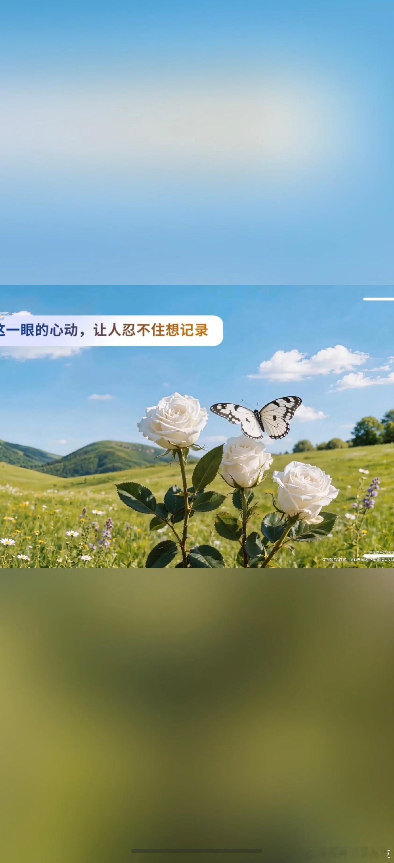 荣耀数字系列手机全球代言人肖战，肖战同款手机荣耀600系列YOYO Live盲盒