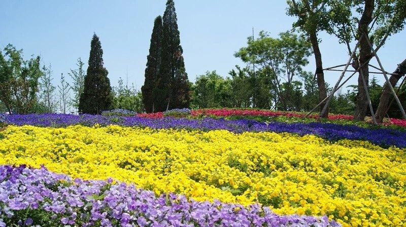 晒图笔记大赛把美景抓拍下来才能留住它永恒的美！