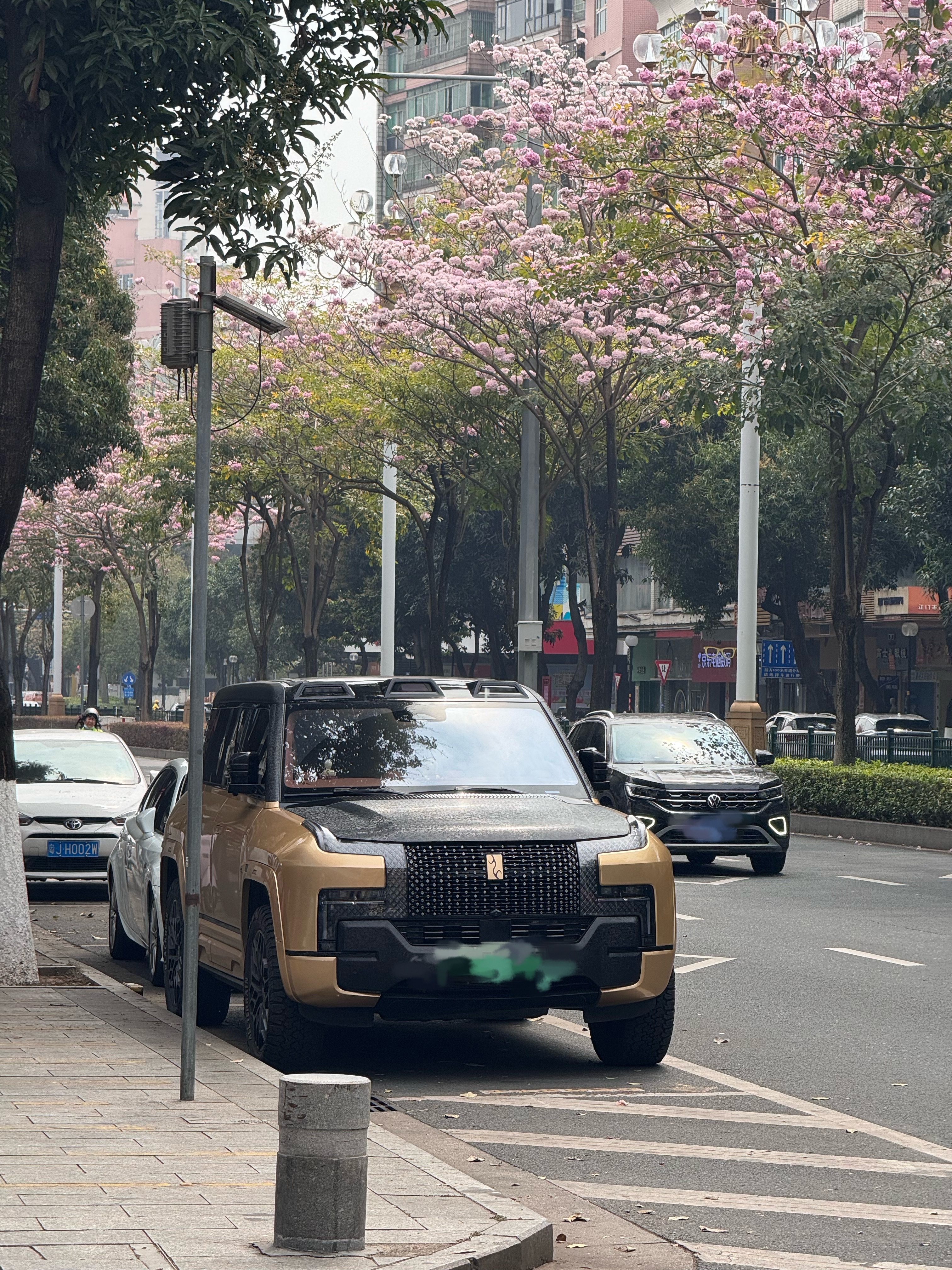 生活手记 比亚迪仰望很少见啊！真帅！隔老远就看见