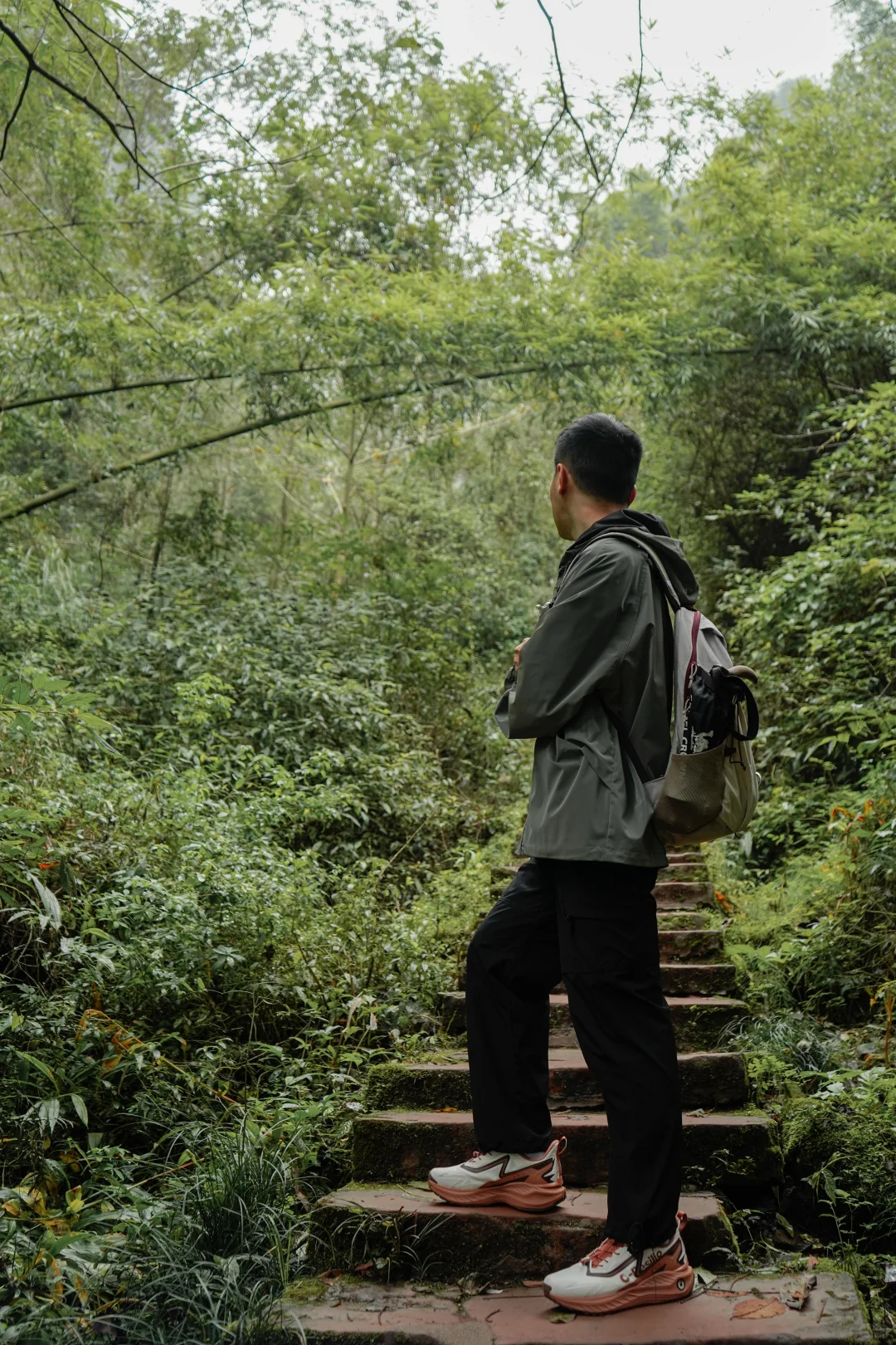 莫高窟成都分窟❗就在成都1.5h直达，途经茂林