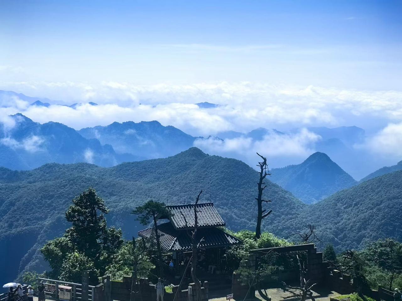 为什么现在A股冲高回落，尾盘跳水更频繁了！我的理解是。
自从盘后固定价格交易生效