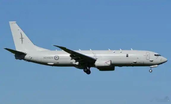 不是，新西兰？！黄海东海？！ 