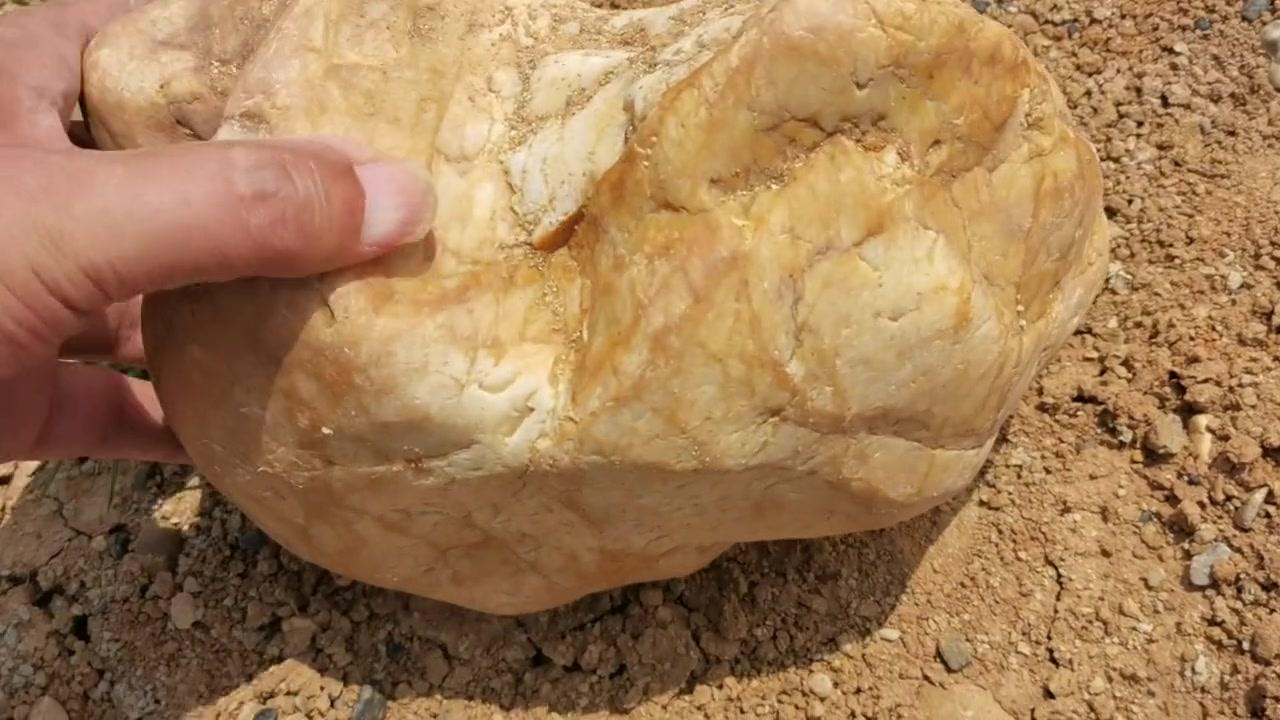 路上捡到“骨头石”？🏞️户外捡石奇遇记来啦！路上偶遇一块酷似骨头的石头，石友劝