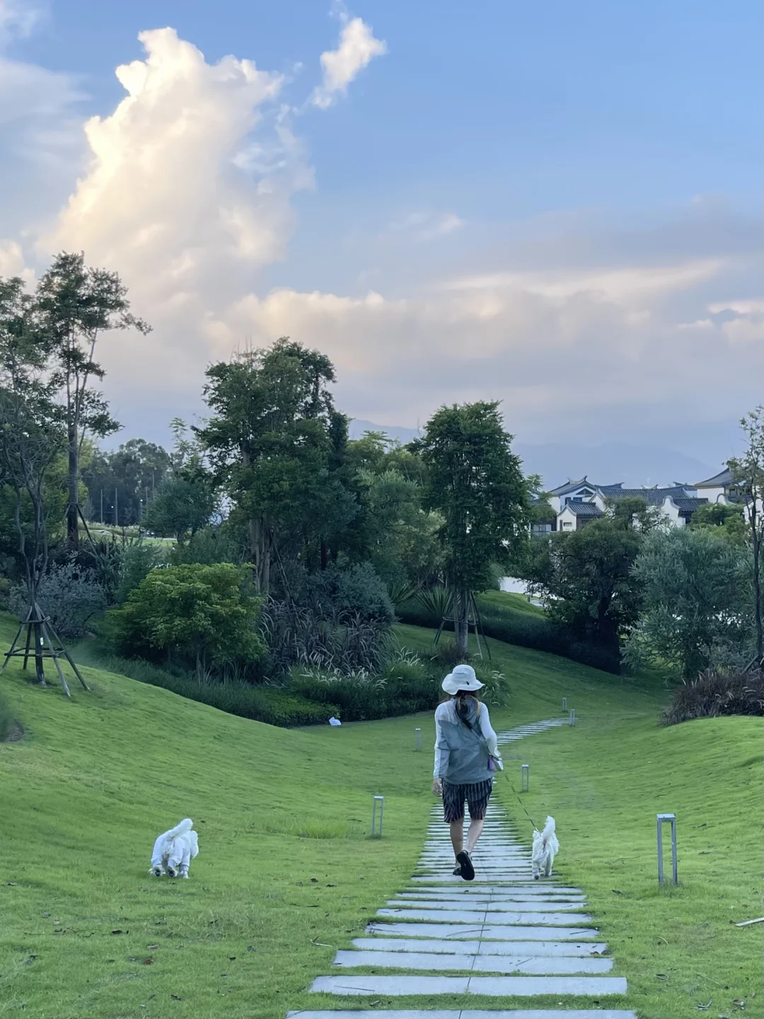 厦门同安的 农村也有这样的遛狗好地！