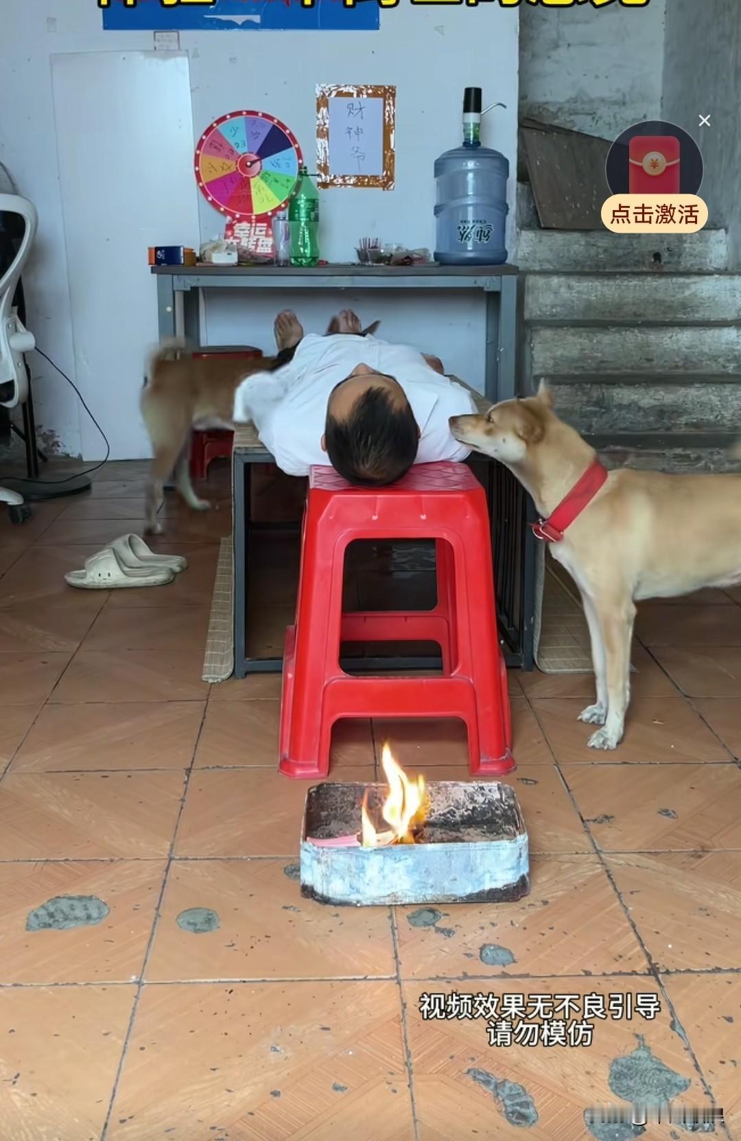 主人为测试狗狗的反应，假装离世观察它们的举动。两只狗狗立刻凑过来，用舌头轻舔主人