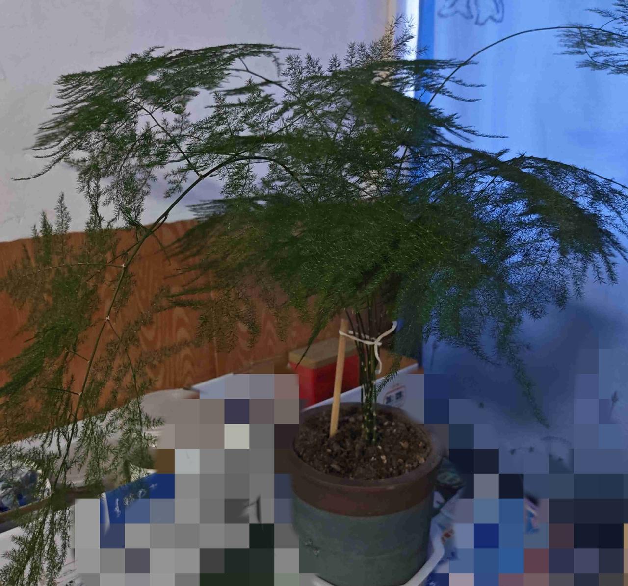 我的今日状态：💰期待暴富
我这里的天气：☁️阴天