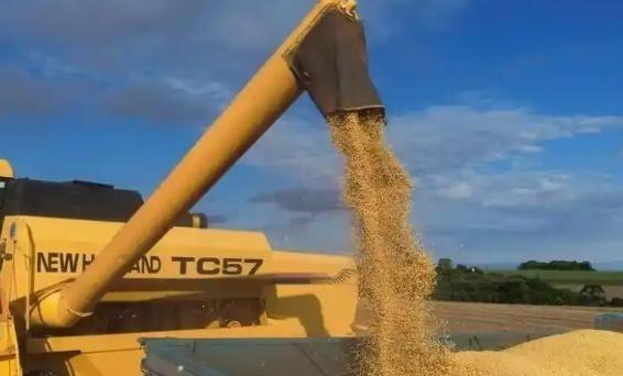 万一阿根廷，美国，巴西三国大豆全部涨价，中国怎么办如果阿根廷、美国、巴西三大主产