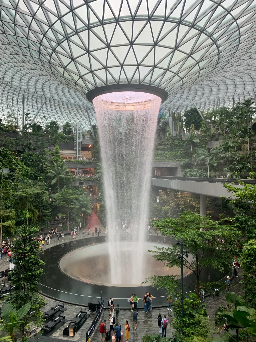 全世界最美✈️机场 新加坡樟宜