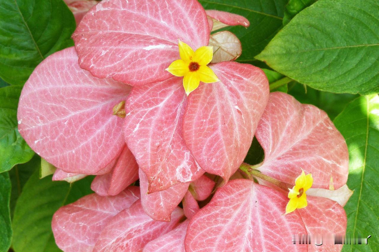 我不相信你们在超市摸过的有包装食品（包括袋装的和散装称重的）都买下来了。我更不相