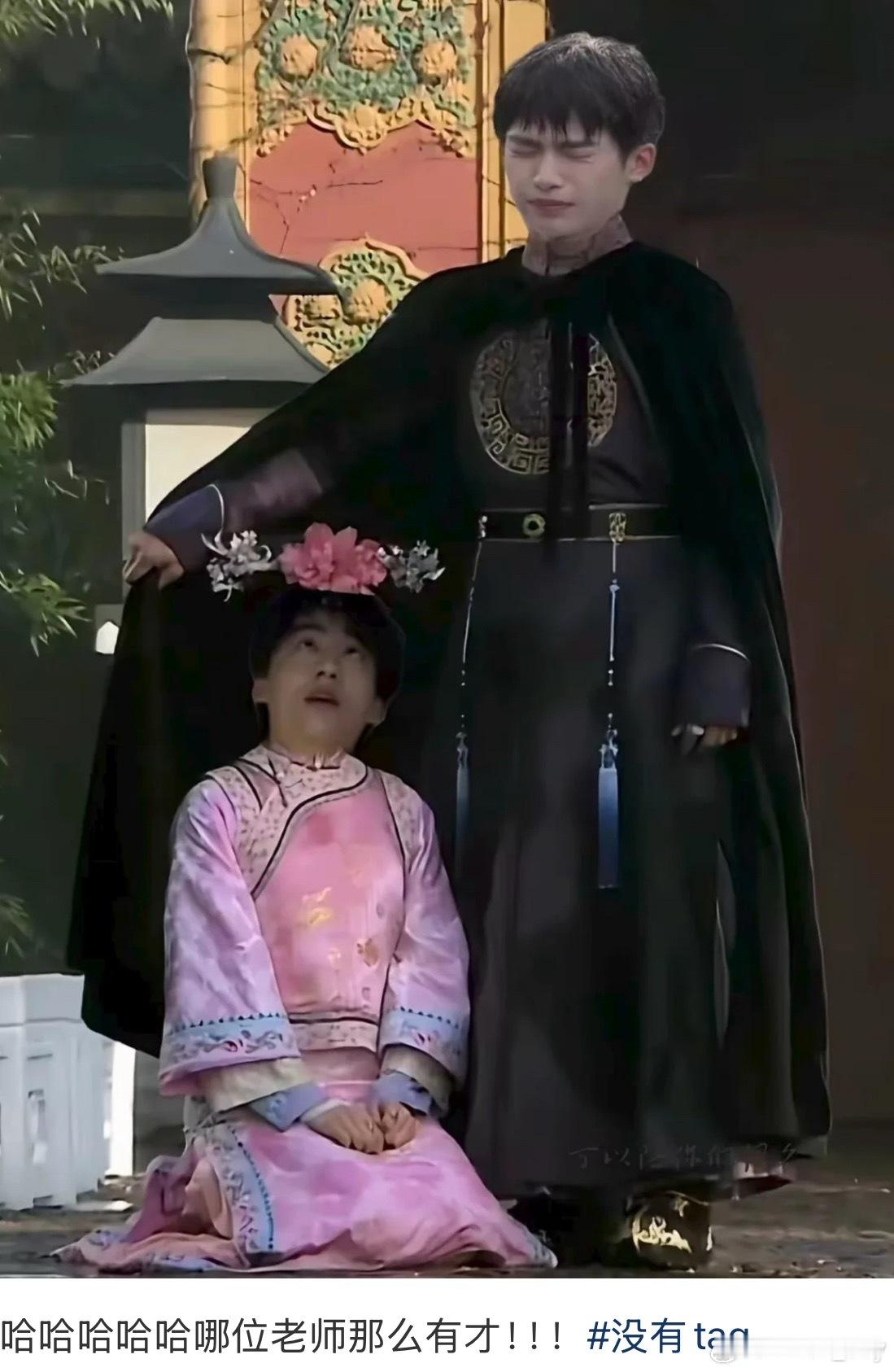 你们两位怎么看着都不太聪明尼[柯基] ​​​