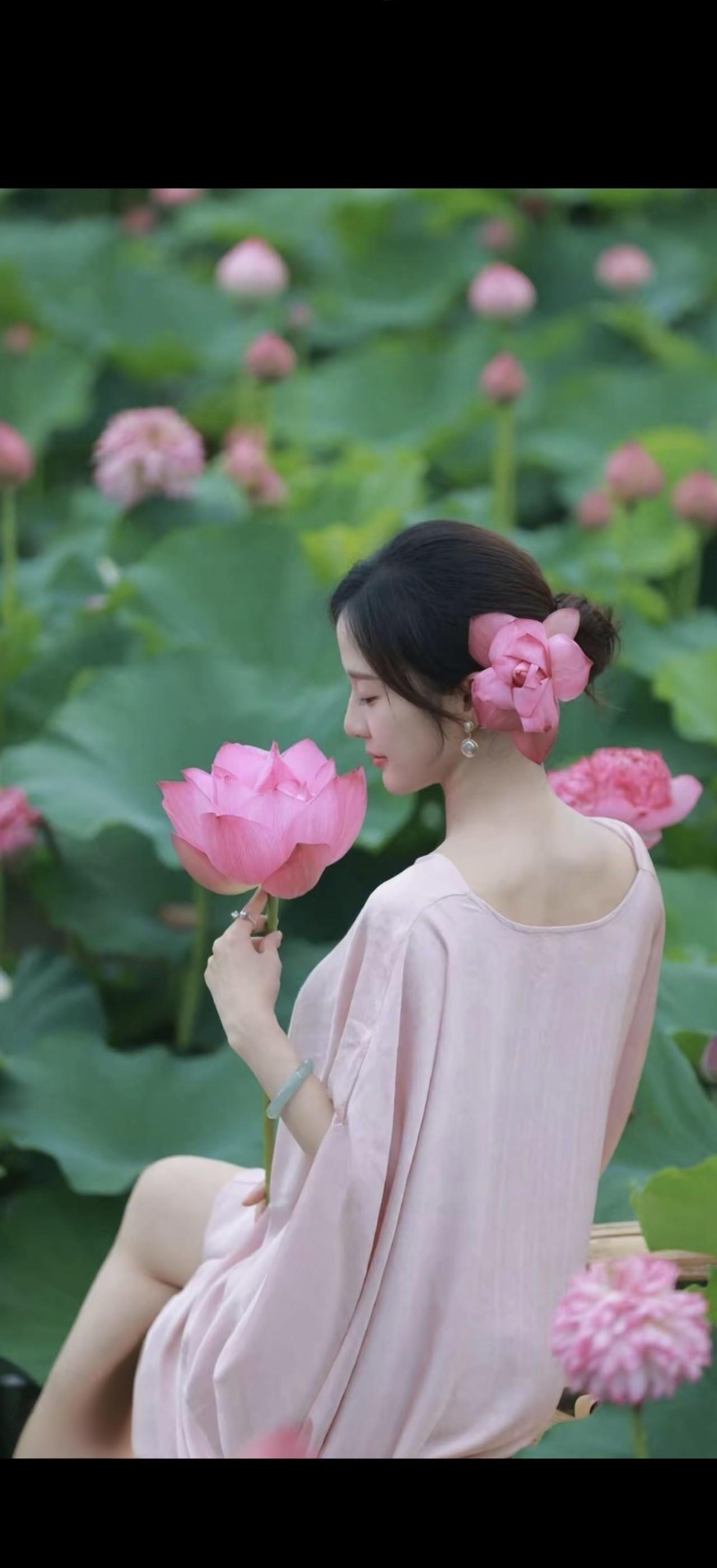 粉荷映美人，静坐赏芳华。