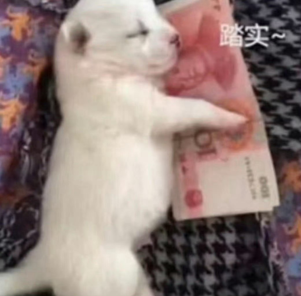 一亏钱我就在这叫叫叫 
