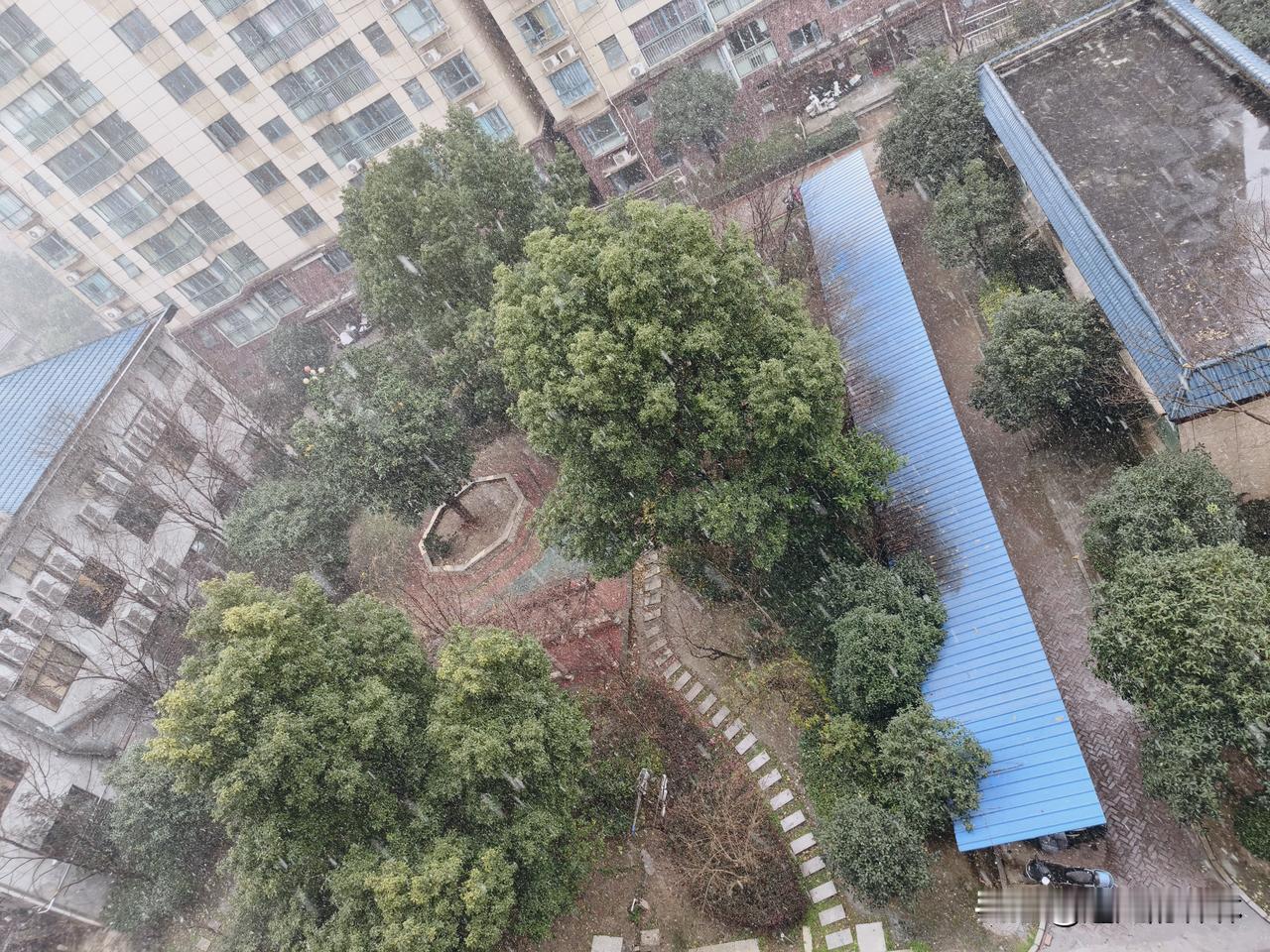 襄阳终于下雪了！雪落襄阳，跨年赴新
 
2025的最后一天，襄阳终于等来了岁末初