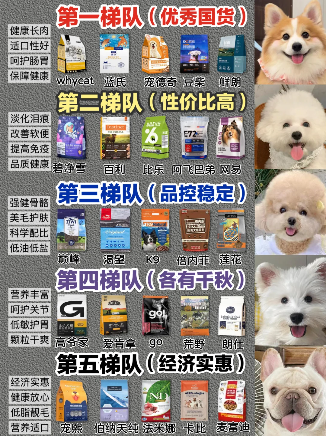 打破选粮误区！2024性价比狗粮才是天菜