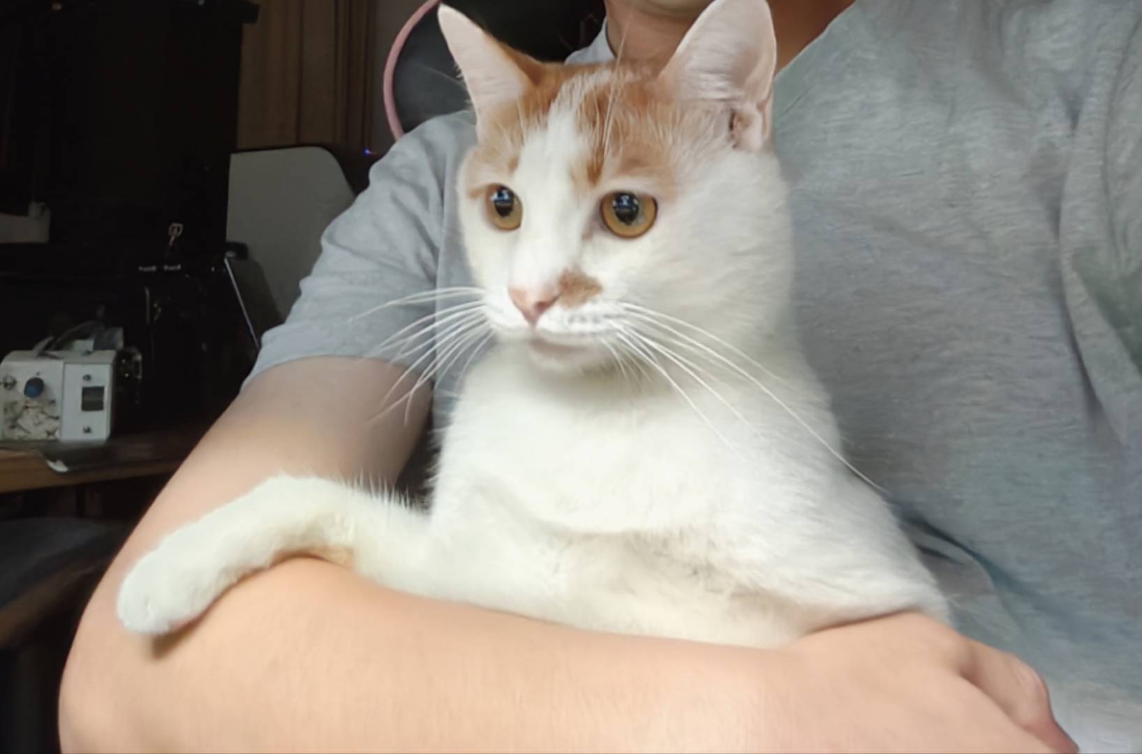 今天做了一个梦是真的不爽，醒来后非常不高兴那种。梦里是我给a公司打工，然后帮他去