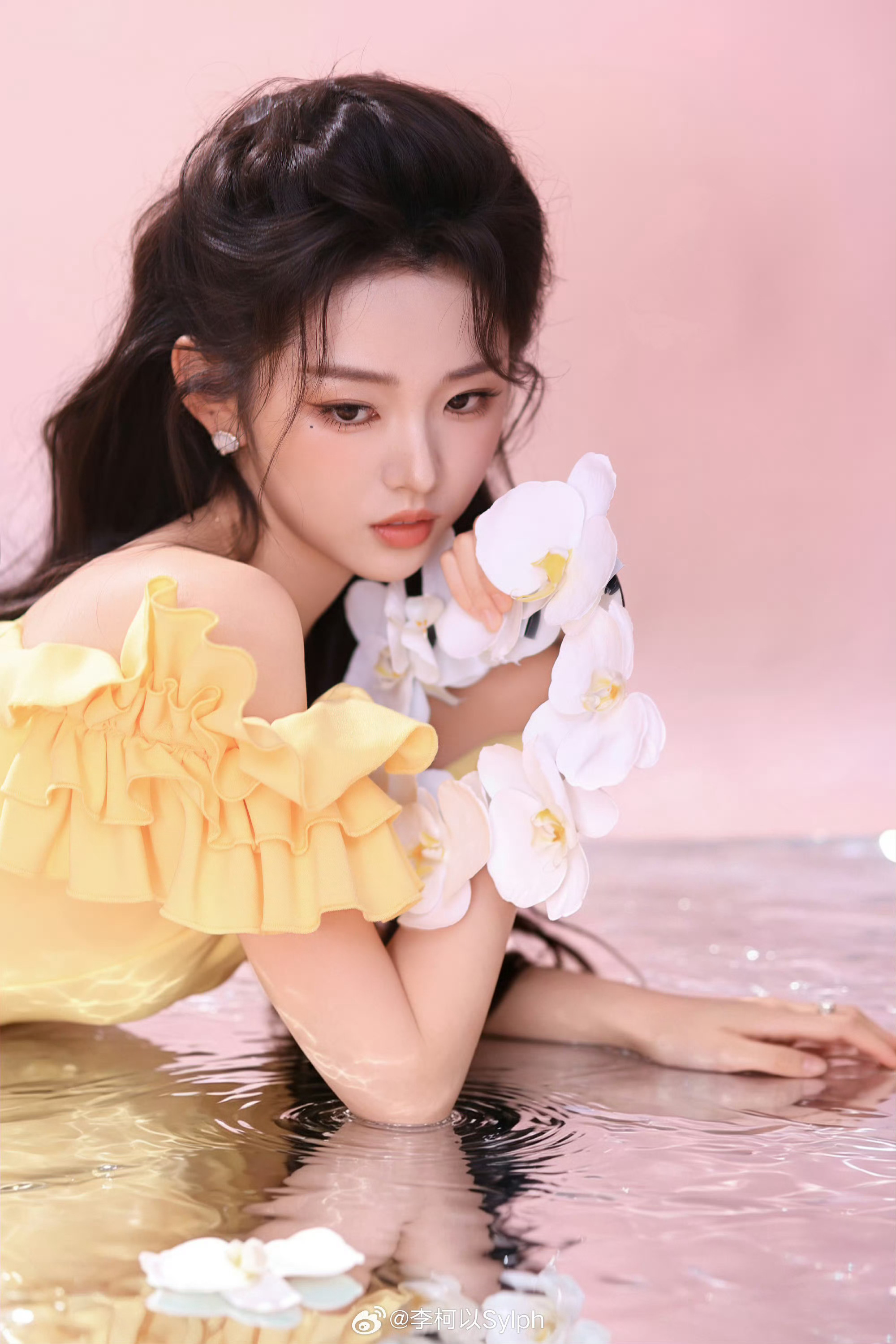 李柯以昨天白玉兰今天hi6 