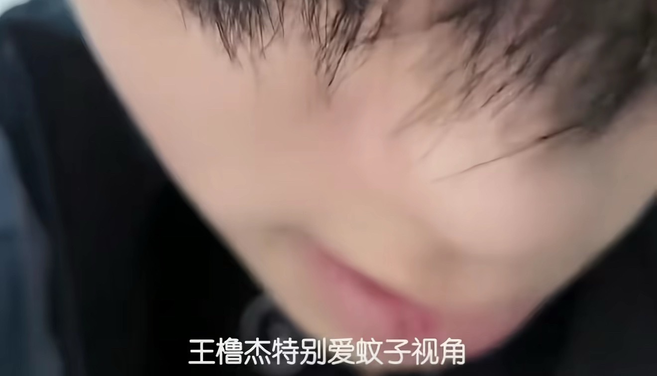 这个就是王橹杰特别爱的蚊子视角 