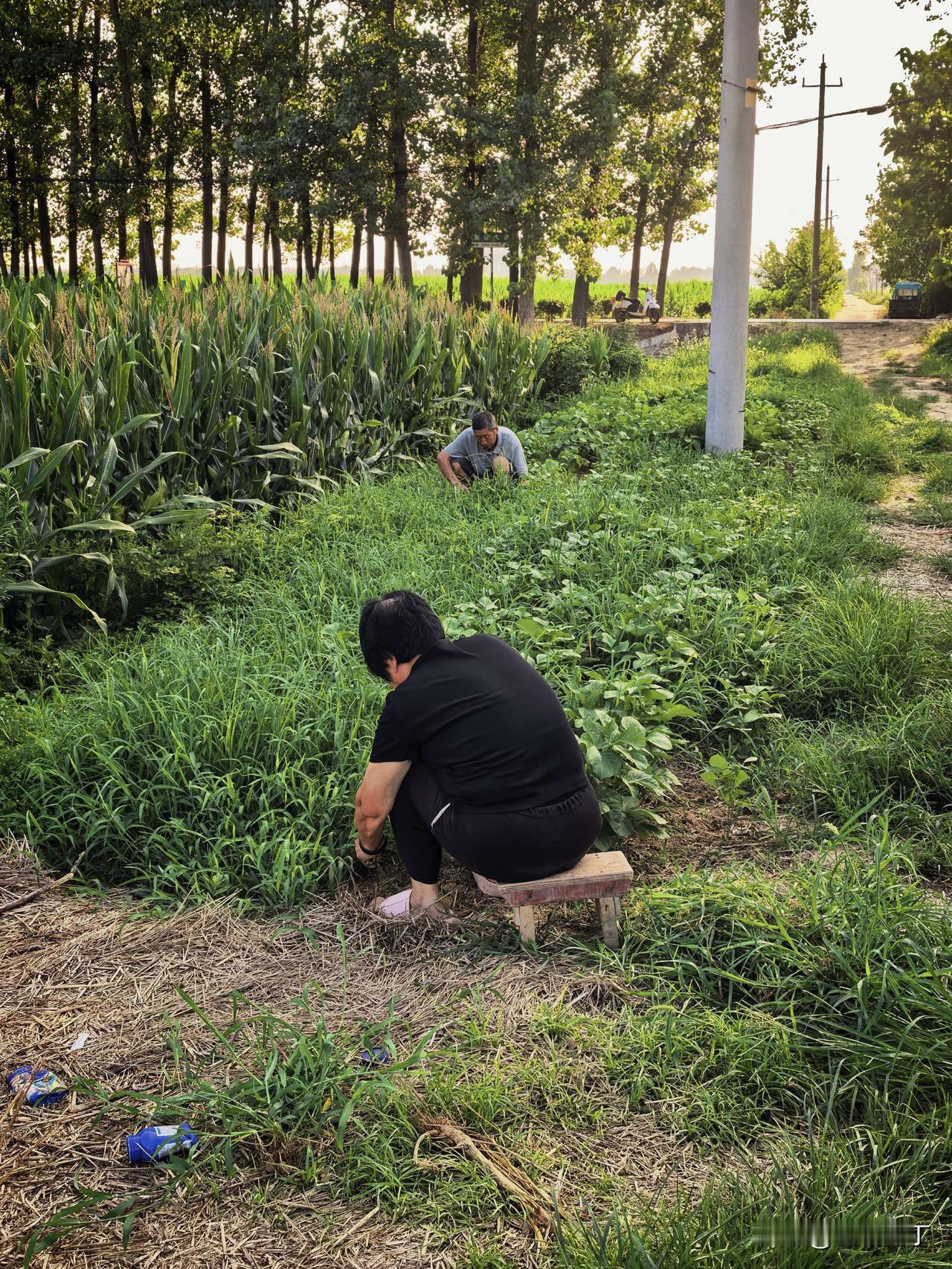 无论在外面有多人五人六，回到老家就要被打回原形，或者说原力觉醒、切换系统。

大
