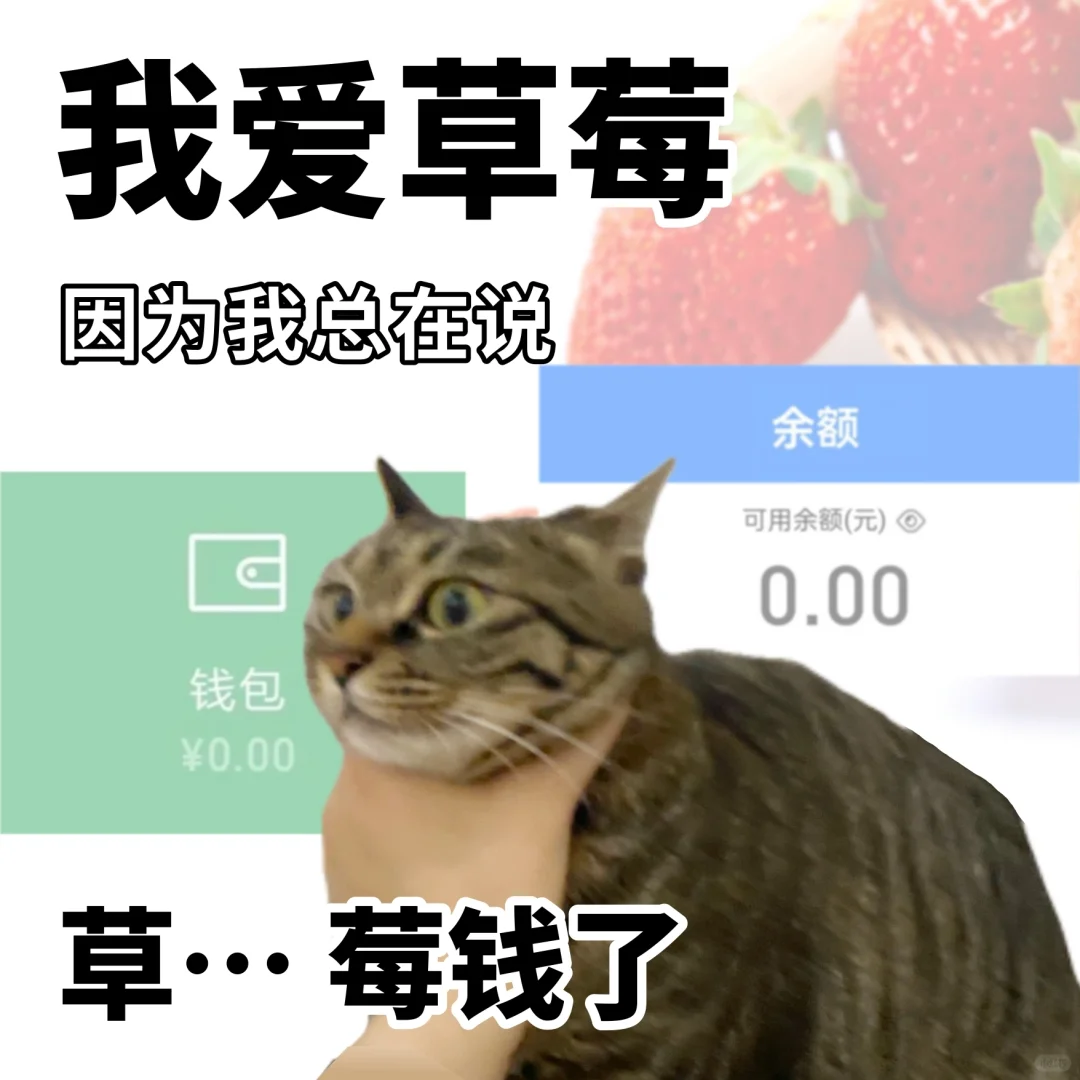 打工人果语表情包