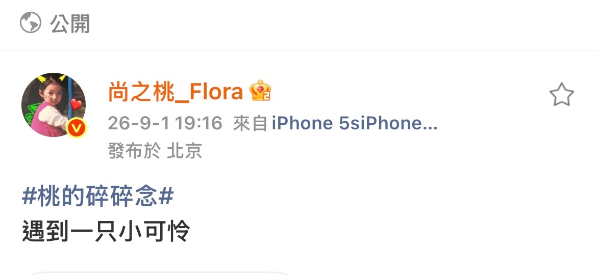 卢克作为一只萨摩耶主动流浪到天通苑求领养 ​​​