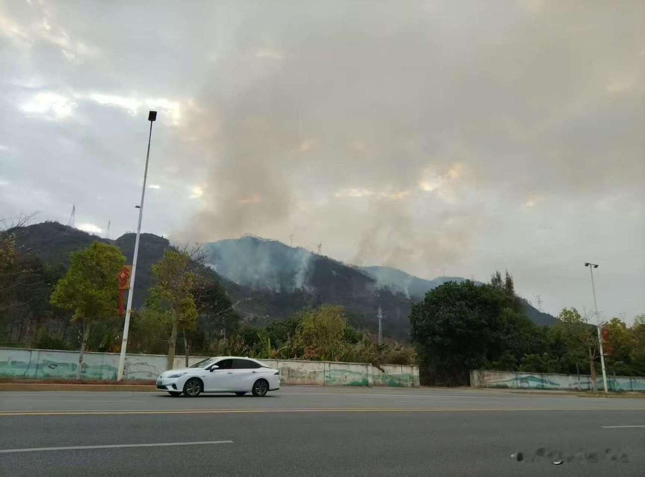 清远森林大火明火成功扑灭！近日，清远地区遭遇持续少雨、天气干燥的状况，一场森林大