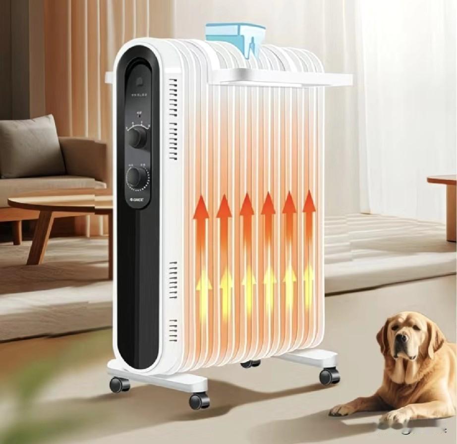 才知道电油汀是最费电的。
我说这两年冬天电费蹭蹭往上涨，老是远远超过阶梯电价线，