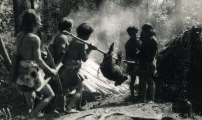 1952年，解放军在云南原始森林深处，发现一群蓬头垢面的男男女女，经过调查发现人