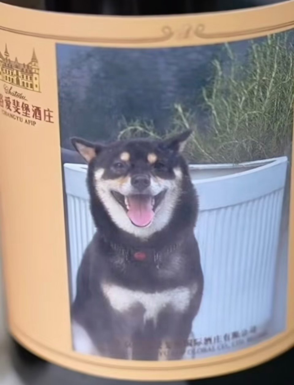 六斤葡萄酒 