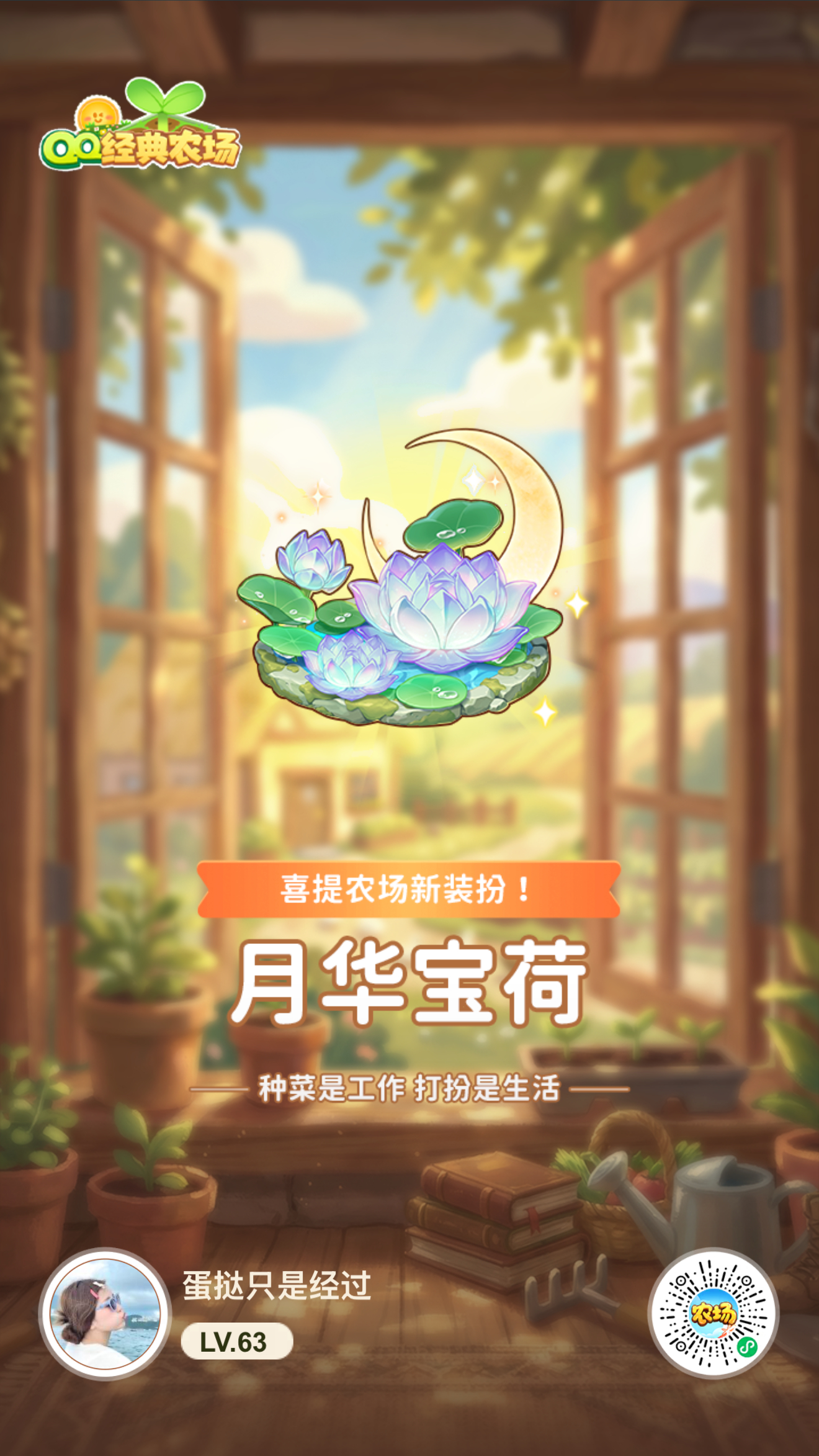 哒哒事务所  月华宝荷 我们喜欢你