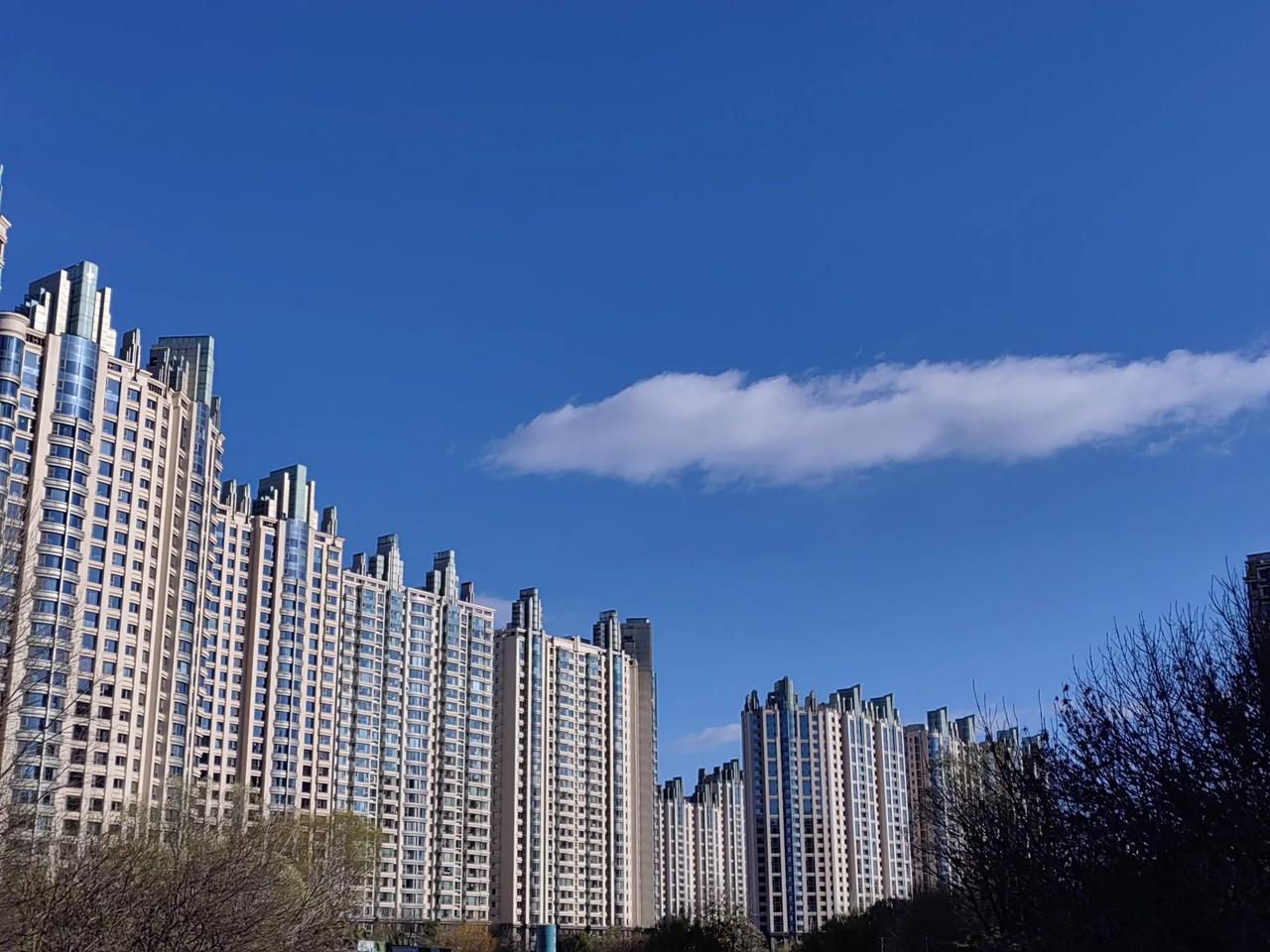 预报的雨夹雪没有如约而至，但冬天的一场雨徐徐拉开了寒冬的序幕。
       气