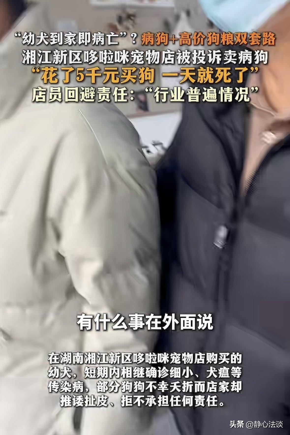 “吃相太难看！”湖南长沙，男子在宠物店，花5000多元买了一只小狗，回家第一天就