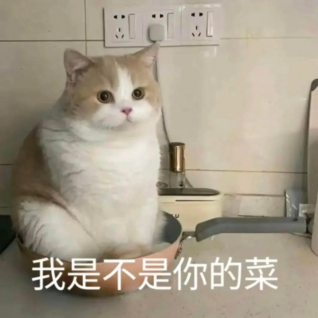 吴宣仪wxy吴宣仪辛凌 朋友们！咱们这会儿的超喜欢已经超过前一天的咯！​​​